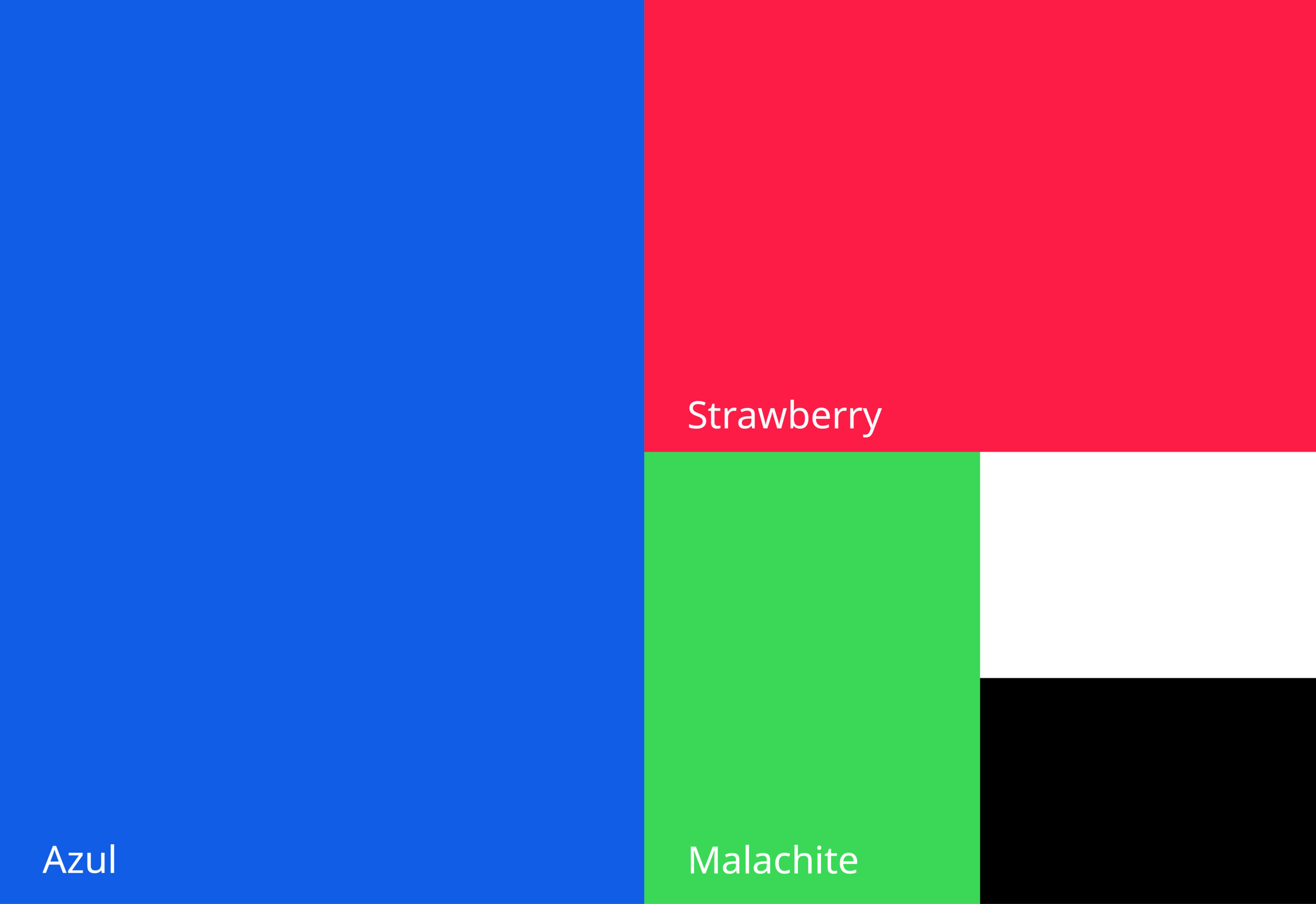 Nashville Medical Brand Identity Design