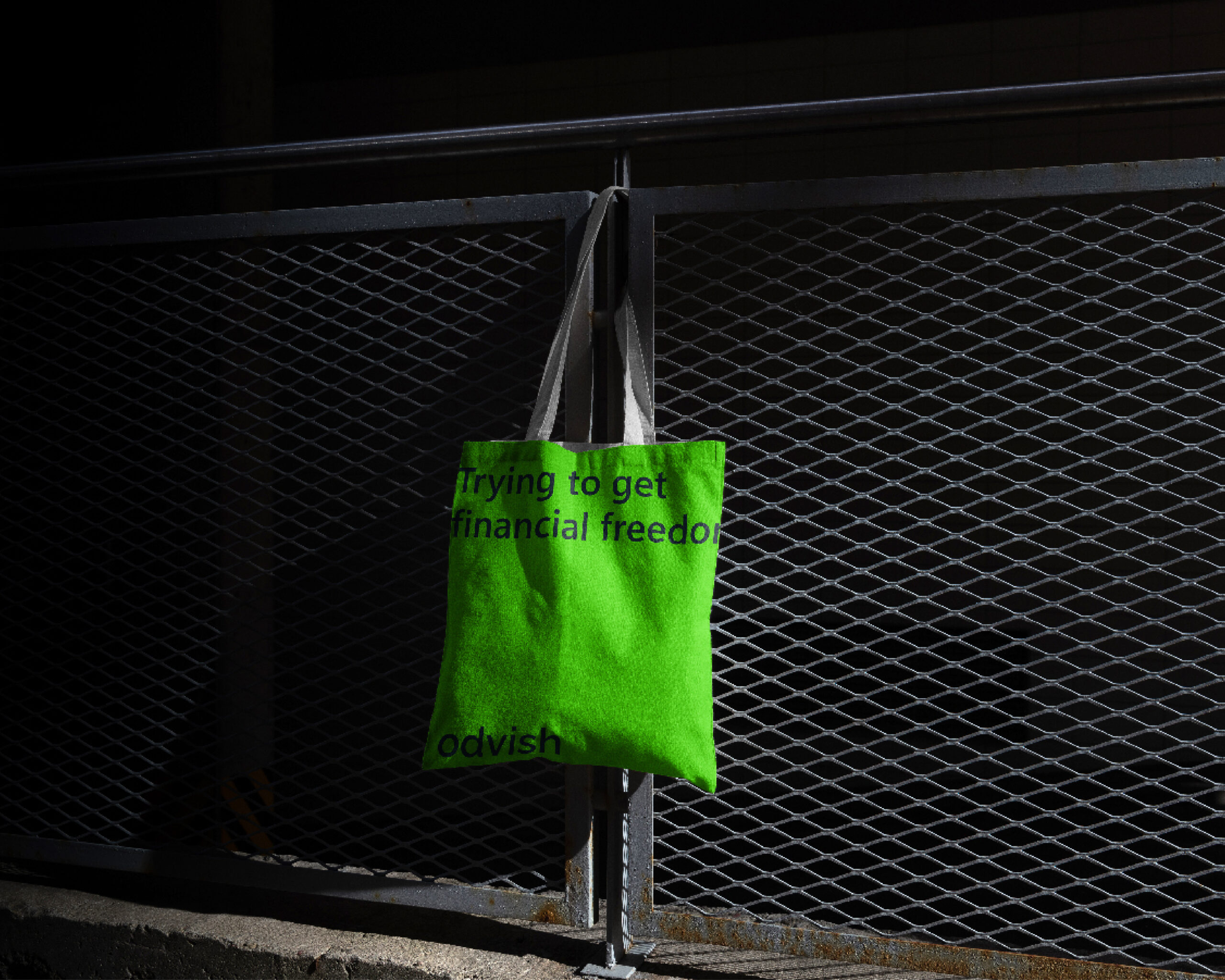 Odvish - Fintech Company Brand Identity