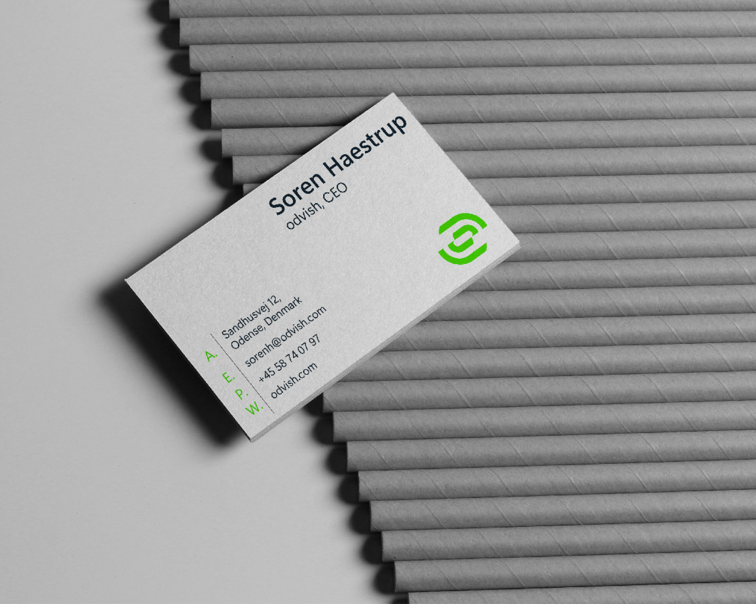 Odvish - Fintech Company Brand Identity