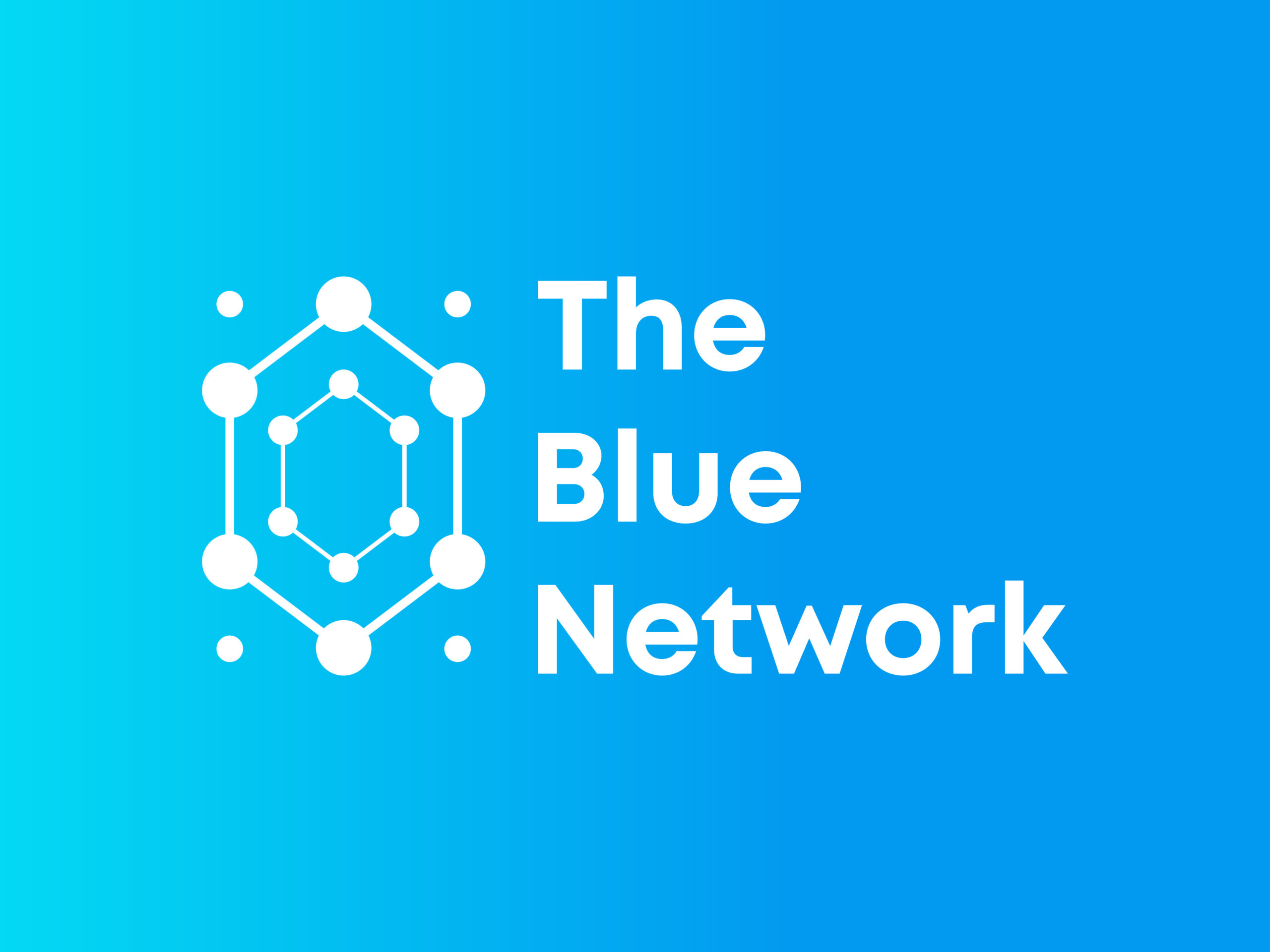 The Blue Network Logo