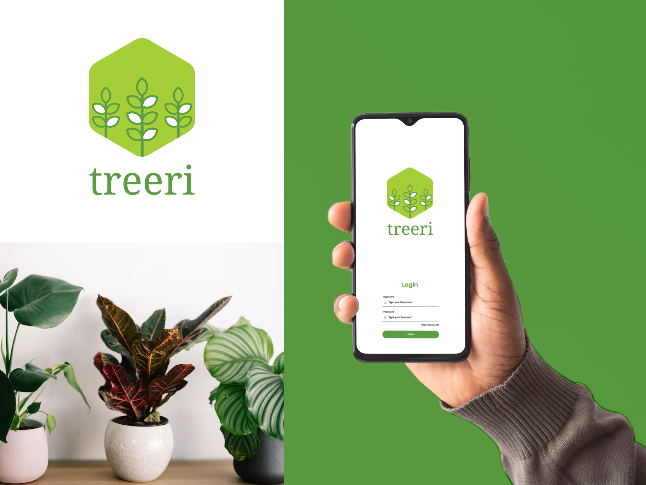 Plant, leaf, nature, tree logo design